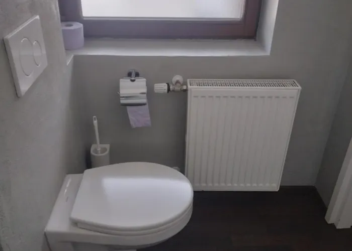 Anton ローファー